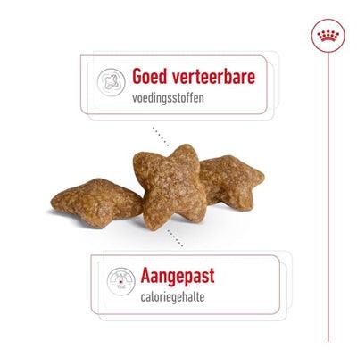 Royal Canin Mini Adult