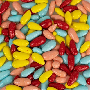 Back Zoo Nature Parrot Sunflower Seed Treats