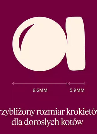 Carnilove Cat Active Salmon & Turkey Large - łosoś i indyk 400g