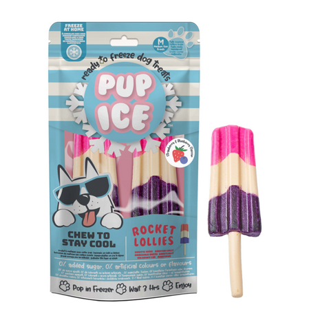 Pup Ice Rocket Lollies Strawberry & Blueberry M