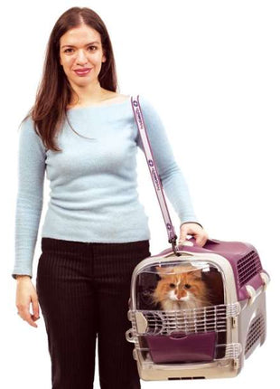 CATIT Transportbox Cabrio - Grau-Grau