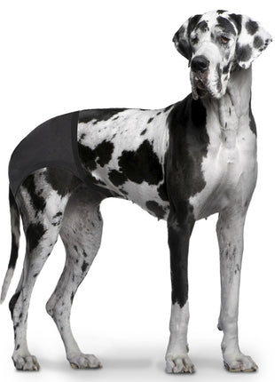 Duvoplus Schutzhöschen