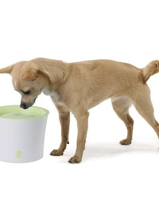 CATIT Fresh & Clear Trinkbrunnen Aktionsset