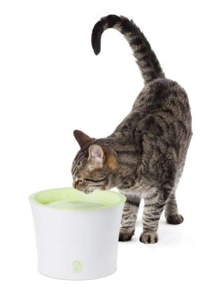 CATIT Fresh & Clear Trinkbrunnen Aktionsset