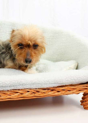 Kuschelsofa aus Weide