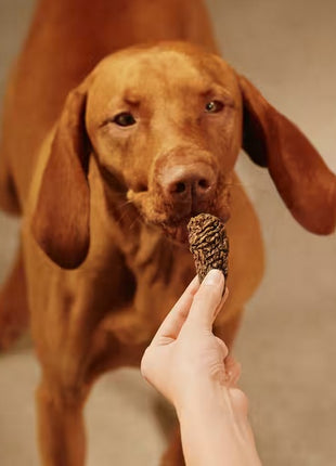 Carnilove Dog Jerky Beef Fillet - wołowina filet 100g
