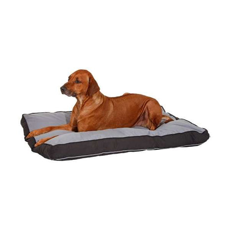 Karlie Doc Bed