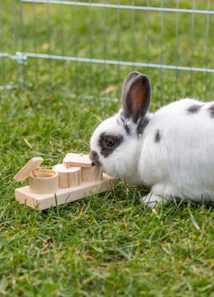 Trixie Snack Cups für Vögel und Kleintiere