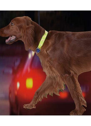 Karlie Safety Light