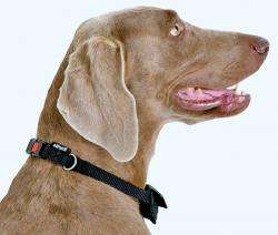 Karlie TOM DOG Halsband und Leine in einem