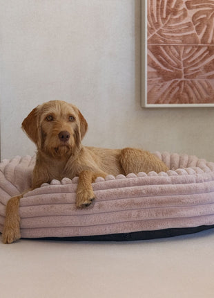 Designed by Lotte Hundebett Reza
