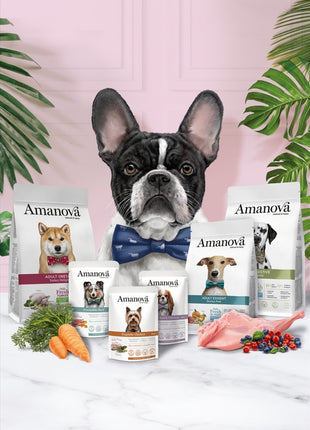 Amanova Dog Adult Medium Exquisite Chicken - kurczak 2kg