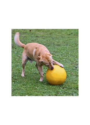 Kerbl Hundespielball Ø 30cm