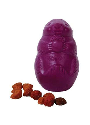 PREMIER Squirrel Dude