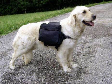Kerbl Hunderucksack GLOBETROTTER
