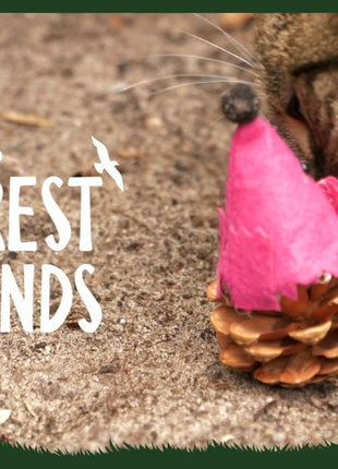 Forest Friends Mouse Oranje