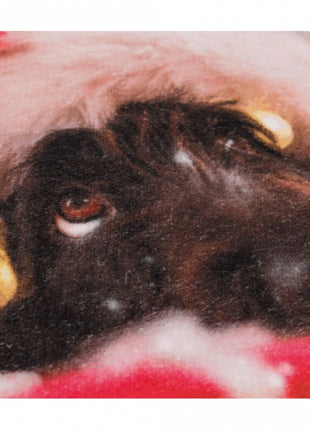 Trixie Xmas Liegematte für Hunde