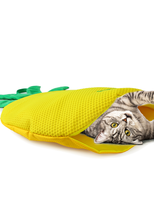 AFP Green Rush - Play Mat Ananas