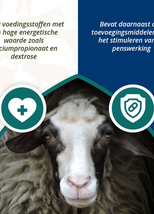 Excellent Ener Bolus Schaap & Geit