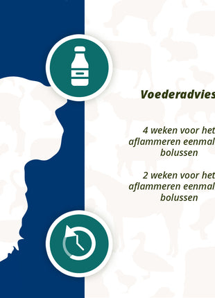 Excellent Ener Bolus Schaap & Geit