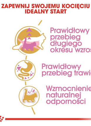 Royal Canin Maine Coon Kitten karma sucha dla kociąt, do 15 miesiąca, rasy maine coon 400g