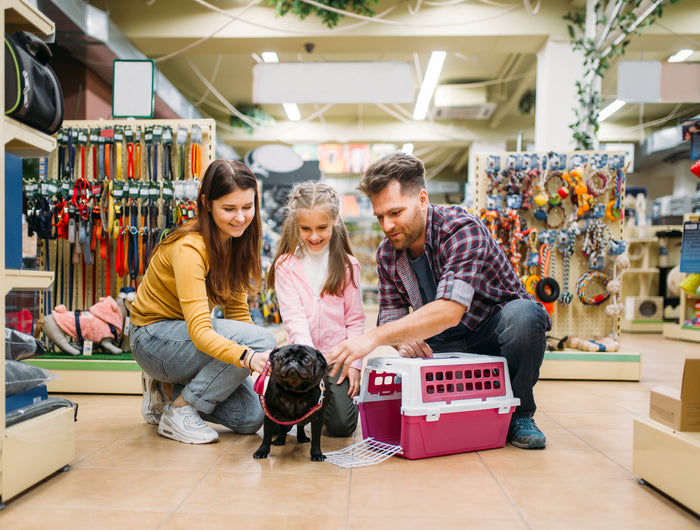 <h1> <strong>Alles für Ihr Haustier, mit Liebe und Sorgfalt ausgewählt</strong>
</h1>