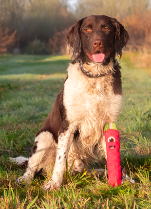 Dog Comets Invaders Groen