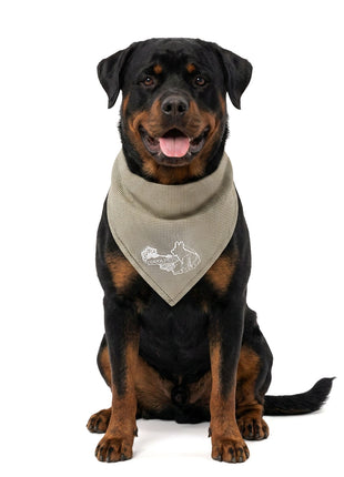 Coolpets Cooling Bandana Beige