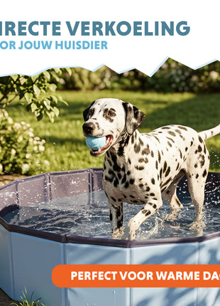 CoolPets Splash Dog Pool ø 120 x 30 cm