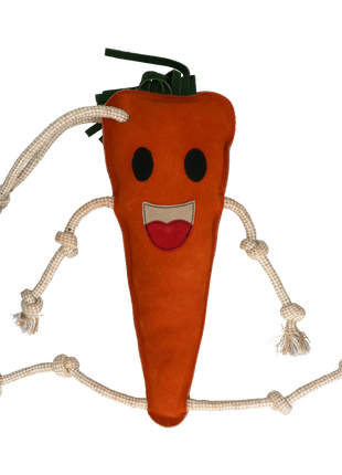 Excellent Horse Foodie Friends Carrot