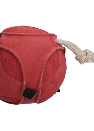 Excellent Horse Fun Play Ball Suede Roze