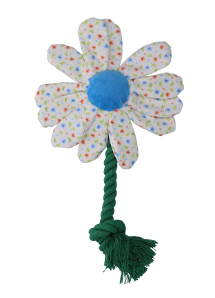 Garden Paws Flower Sky Flowers