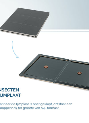 Insecten Lijmplaat Zwart