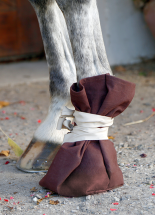 Klauw / Hoefzak voor rund en paard