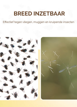 Knock Pest Lijmplaat voor Insectenval