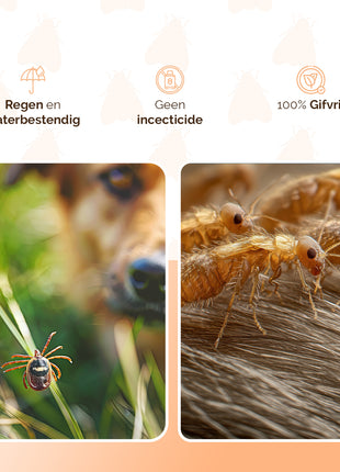Knock Pest Vlooien/Tekenband Hond DE/UK