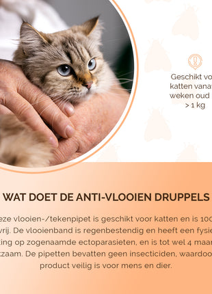 Knock Pest vlooien-tekenpipet Kat NL/FR