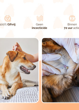 Knock Pest vlooien-tekenpipet Hond <5 kg