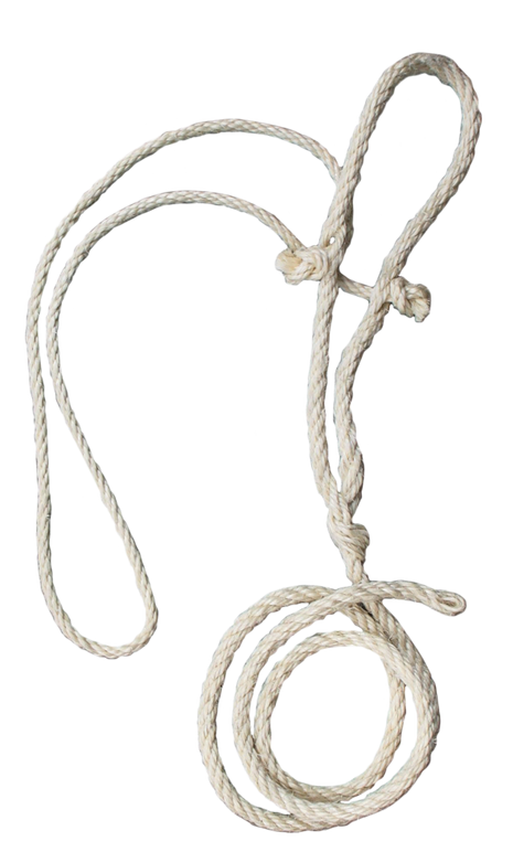 Koetouwhalster + dun koptouw