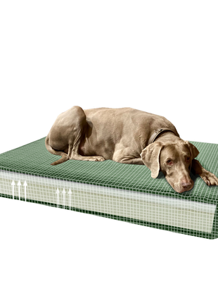 Madison Orthopedisch Kussen Velvet Groen S