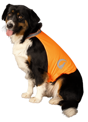 Nightwalk Safety Vest Oranje