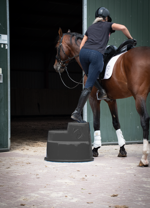 Excellent Horse Opstaphulp 3 Treden Zwart