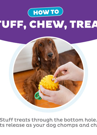 Outward Hound Dental Pineapple