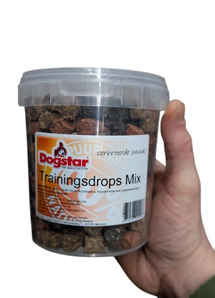 Dogstar Farbmixtrainer