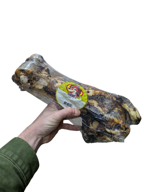 Petsnack Dinobot Verpackt - 100% natürlicher Kauknochen von ca. 30 cm