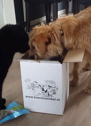 Braaaf Soft Snack Tonijnstick met wortel en sperzieboon