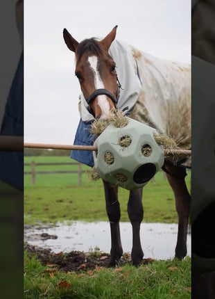 Excellent Horse Feed & Play Ball Groen