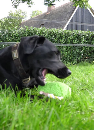 Fuzzle met 5 piepers Nijlpaard