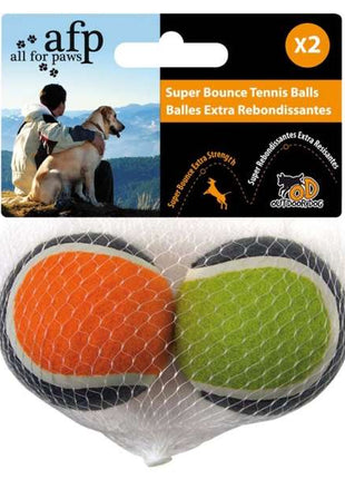 All for Paws Outdoor Dog Super Vollgummiball