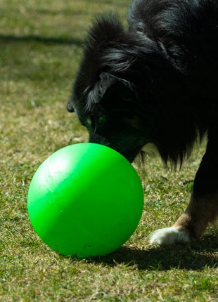 PROCYON Treibball Größe S